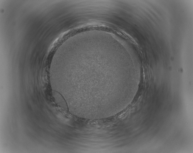 X0000080730776200612151223