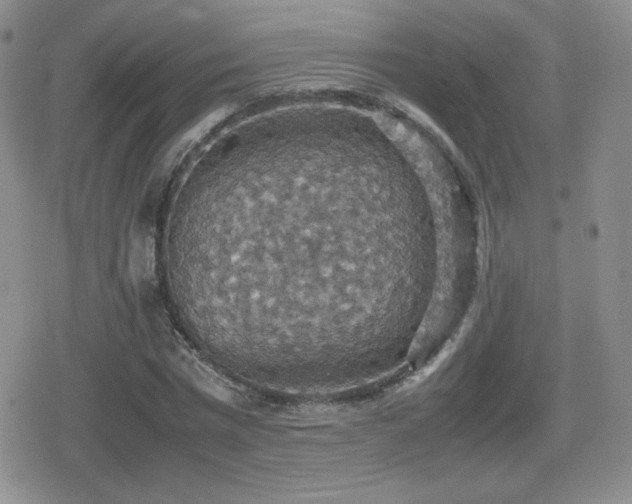 X0000080730777200612151223