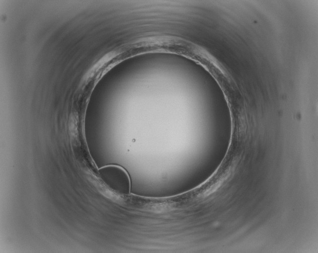 X0000080730778200612151223