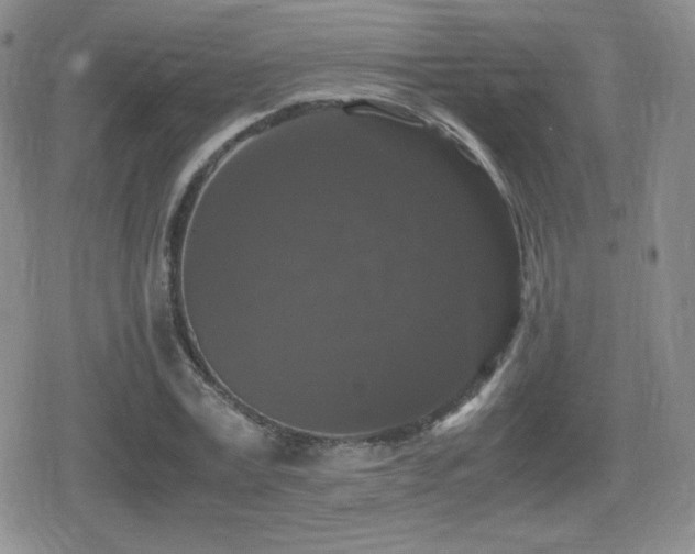 X0000080730779200612151223