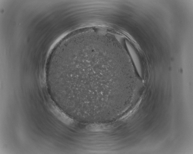 X0000080730780200612151223