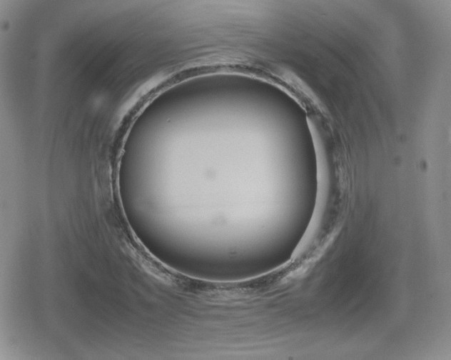 X0000080730781200612151223