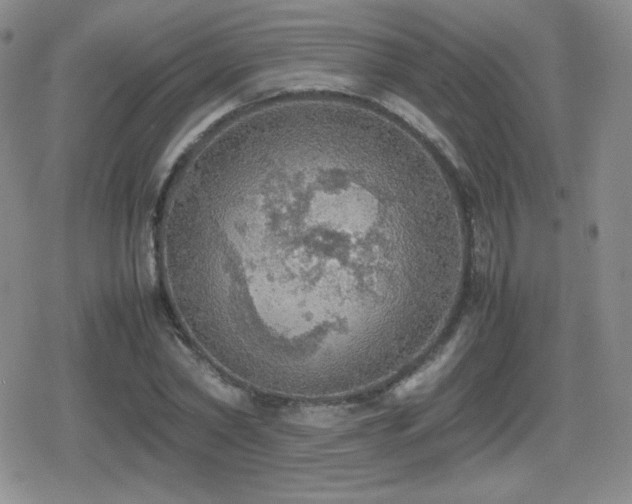 X0000080730782200612151223