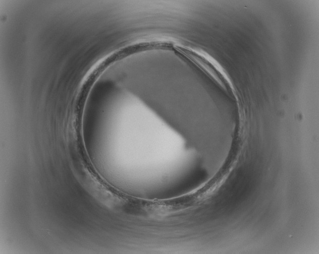 X0000080730783200612151223