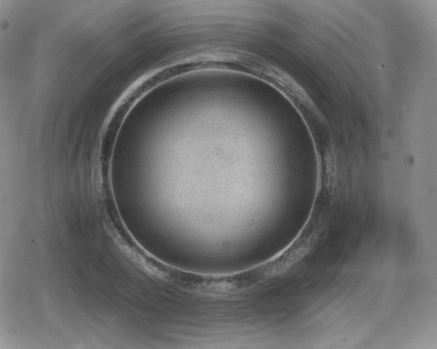 X0000080730784200612151223