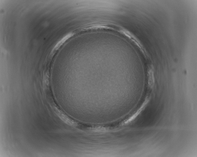 X0000080730785200612151223