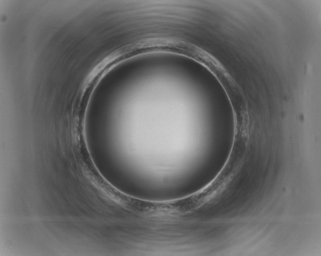 X0000080730786200612151223