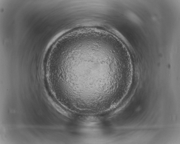 X0000080730787200612151223