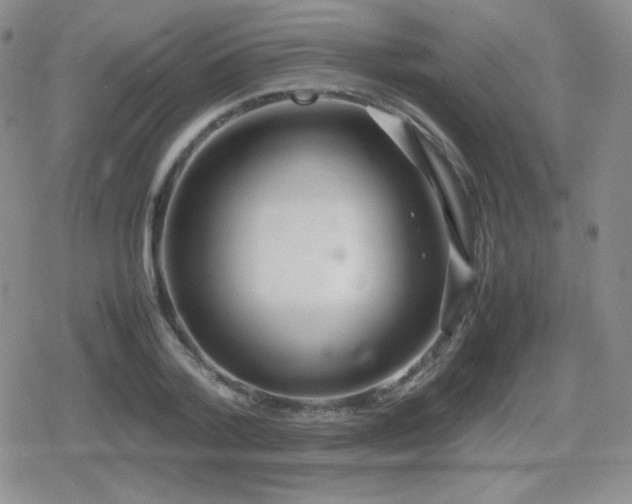 X0000080730788200612151223