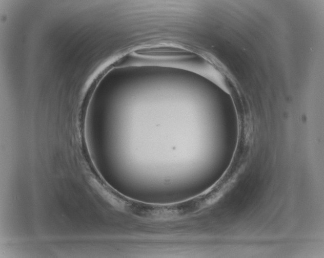 X0000080730789200612151223