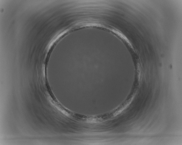 X0000080730790200612151223