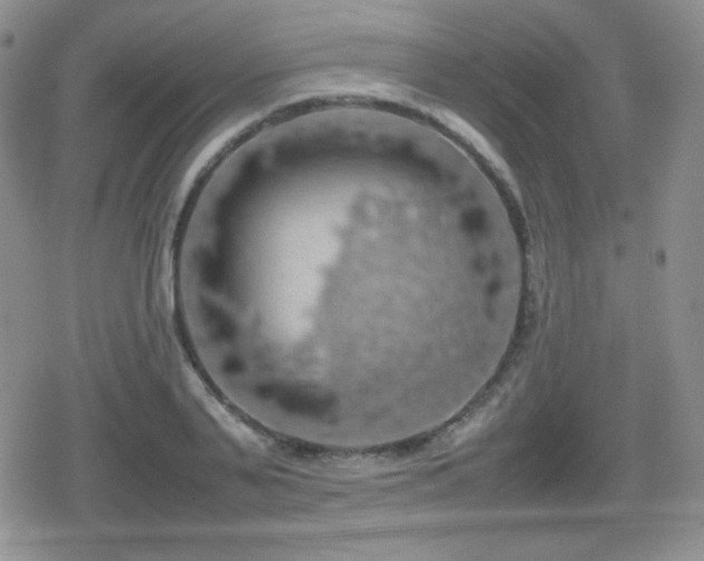 X0000080730791200612151223