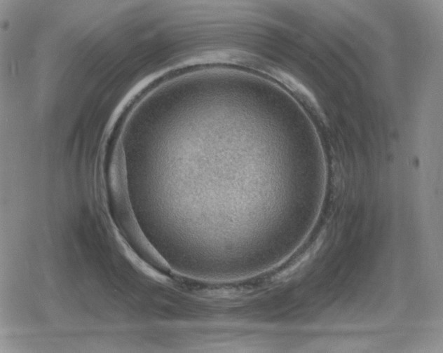 X0000080730792200612151223