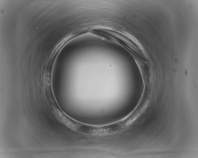 X0000080730793200612151223