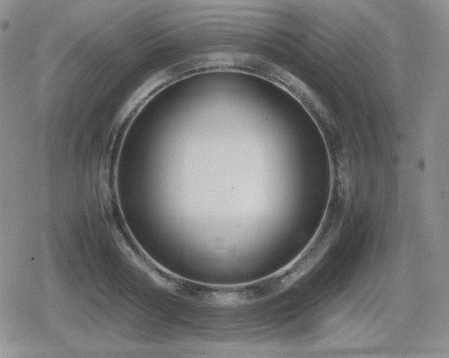 X0000080730794200612151223