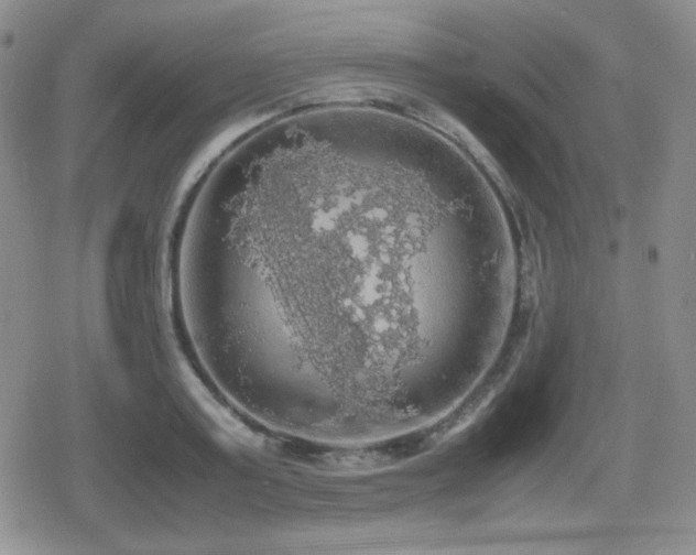 X0000080730795200612151223