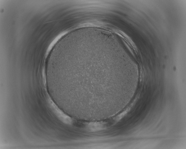 X0000080730796200612151223