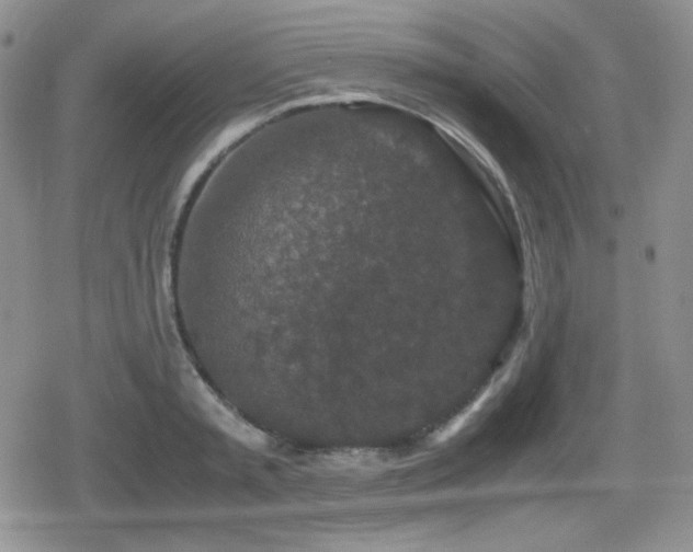 X0000080730797200612151223