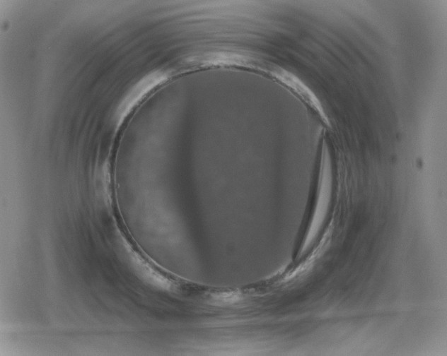 X0000080730798200612151223