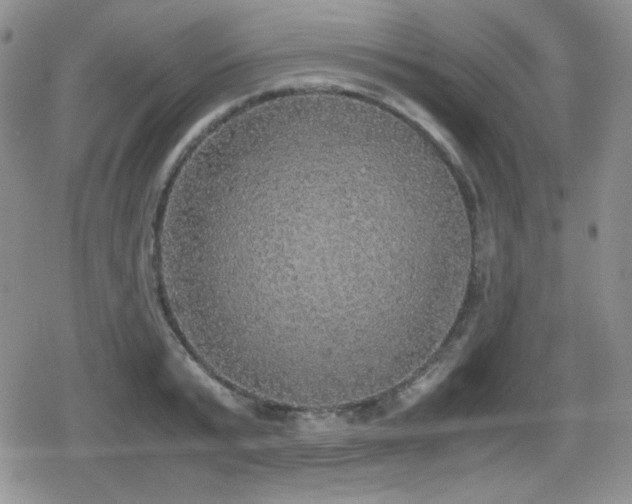 X0000080730799200612151223