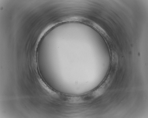 X0000080730800200612151223