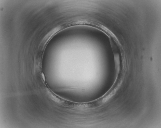 X0000080730801200612151223