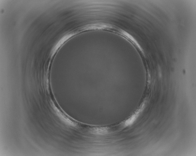 X0000080730802200612151223