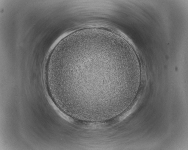 X0000080730803200612151223