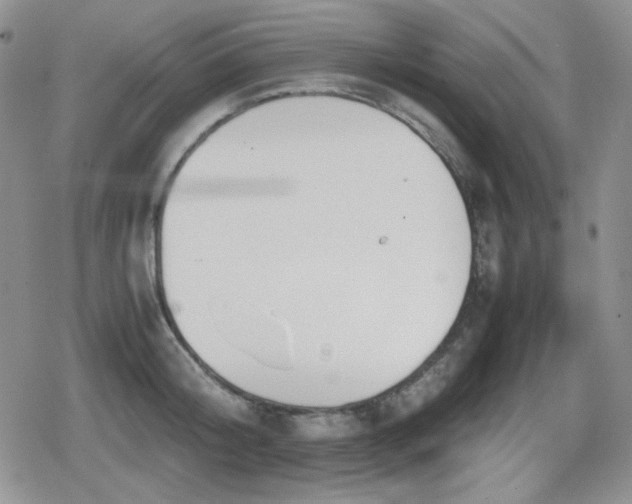 X0000080730804200612151223