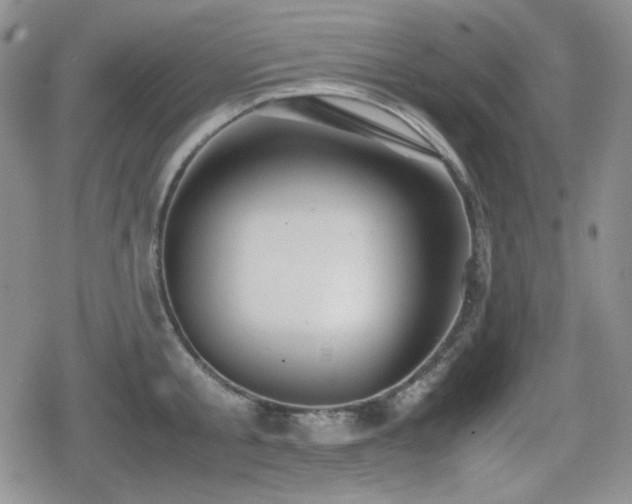 X0000080730805200612151223