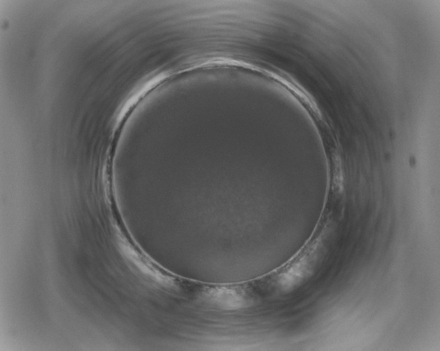 X0000080730806200612151223