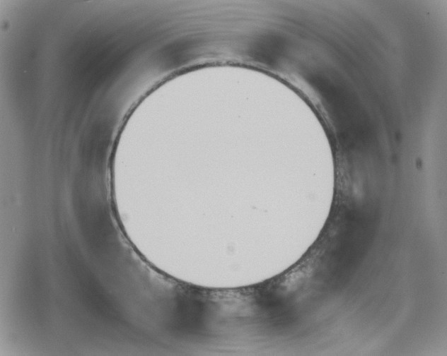 X0000080730807200612151223