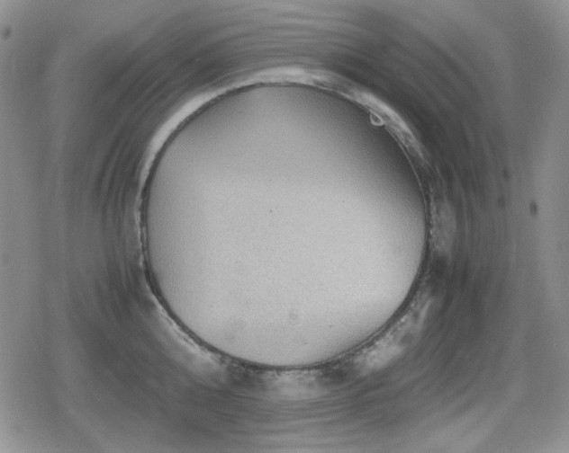 X0000080730808200612151222