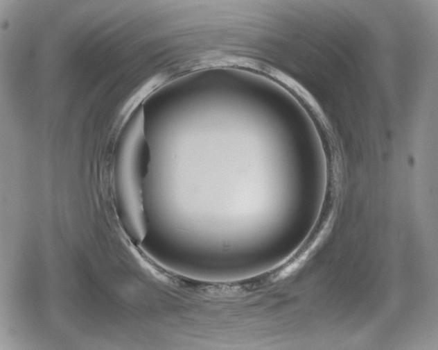 X0000080730809200612151222