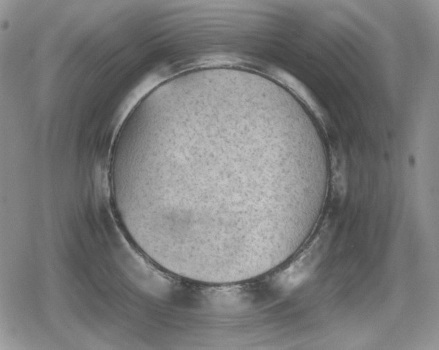 X0000080730810200612151222