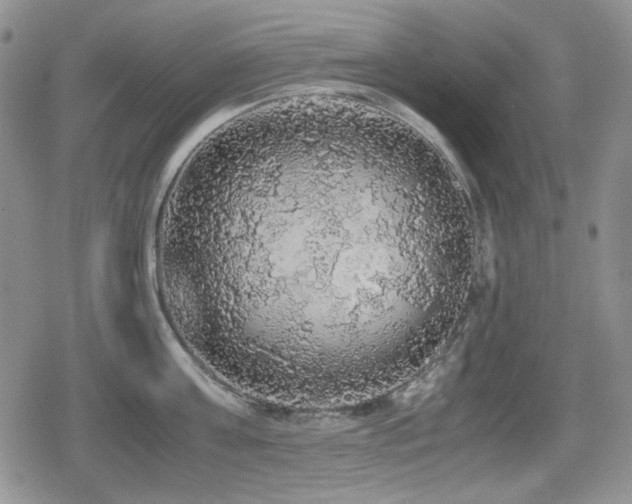 X0000080730811200612151222