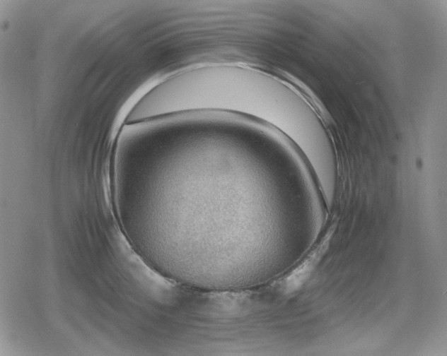 X0000080730812200612151222