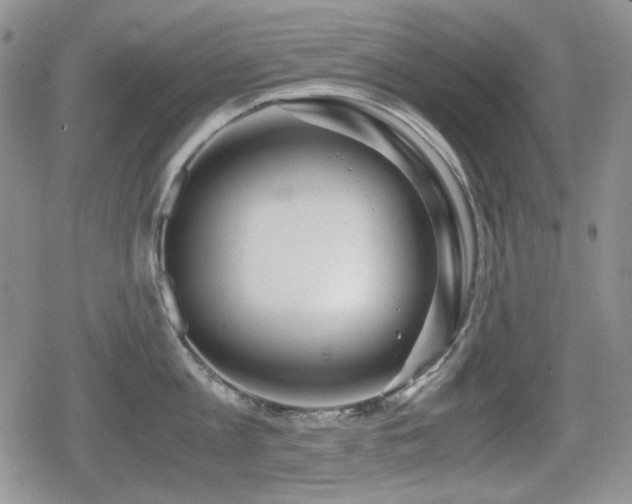 X0000080730813200612151222