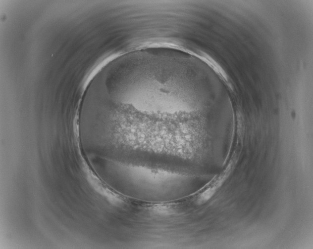 X0000080730814200612151222