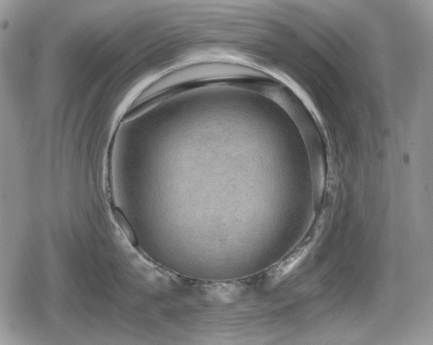 X0000080730815200612151222