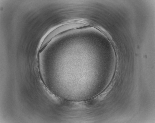 X0000080730816200612151222