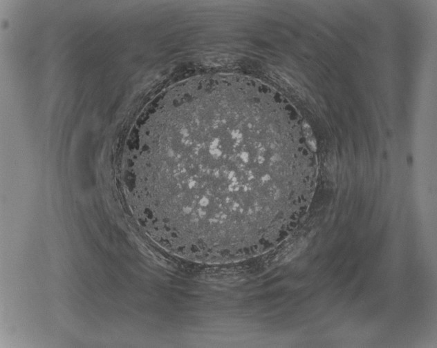 X0000080730817200612151222