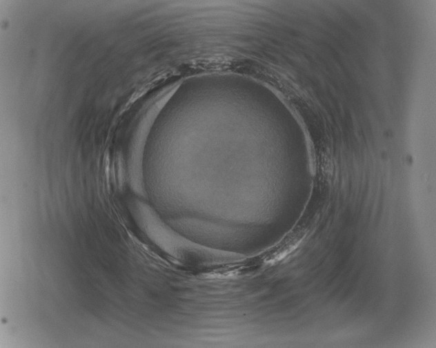 X0000080730818200612151222