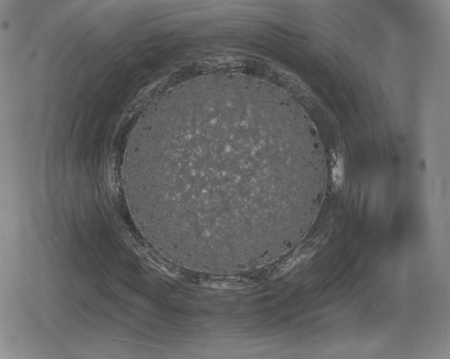 X0000080730819200612151222