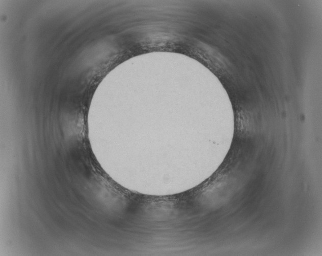 X0000080730820200612151222