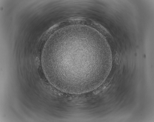 X0000080730821200612151222