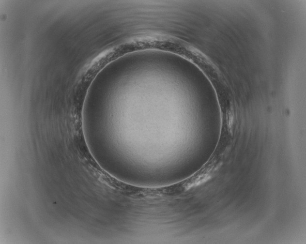 X0000080730822200612151222