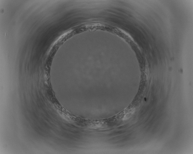 X0000080730823200612151222