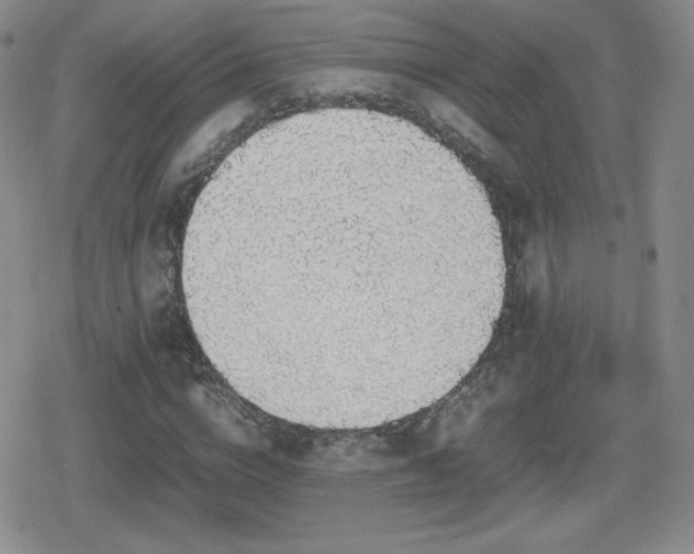 X0000080730824200612151222