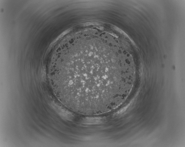 X0000080730825200612151222